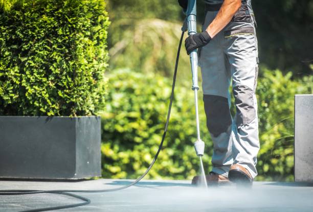 Best House Exterior Washing  in Lincolnshire, IL